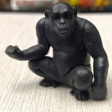 D-11 櫃 現狀品 ：　35 PEPSI 球鞋 瓶蓋 A3 TWINS TRIKES 深藍　天富 歷史價格詳細信息