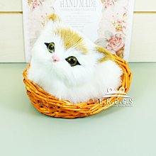 [S & O眼鏡] 近視和遠視者~防風&釣魚&戶外活動專用~可掀~前掛式 1.0mm 厚度進口保麗萊偏光太陽眼鏡鏡片~三種尺寸可挑選-免運費 歷史價格詳細信息