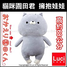 日本商品 龍貓公仔鑰匙扣 歷史價格詳細信息