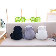 養隻寵物 恐龍 項鍊 暴龍 恐爪龍 劍龍 歷史價格詳細信息