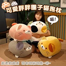 可愛胖胖龍娃娃~龍貓娃娃~高45公分~豆豆龍~非龍貓娃娃~宮崎駿龍貓玩偶~吉卜力非龍貓娃娃~生日禮物 歷史價格詳細信息