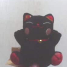 【全新品】 招財貓手機吊飾╭＊雅雅媽咪小舖＊╯ 歷史價格詳細信息