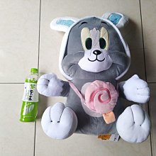 正版湯姆熊 湯姆熊娃娃~高33公分~TOM玩偶 湯姆熊玩偶 小熊娃娃~非熊大娃娃 TOM熊娃娃 ~生日情人禮物~全省配送 歷史價格詳細信息