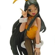 B-11 櫃 小瑕疵 ： 純情房東俏房客 PROCESS 6 限定版 青山素子 沒有DVD 　富貴玩具店 歷史價格詳細信息