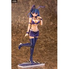 SKYTUBE 王虎娘 T2 ART GIRLS 王虎娘by Tony 1/6 日版 現貨 歷史價格詳細信息