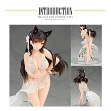 碧盛德 PH-001 大型耳機專用 海綿套 覆耳式 耳機套 大尺寸 88x12mm 布面+PU底皮 透氣環保又衛生 歷史價格詳細信息