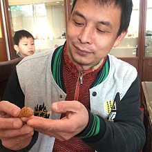 大國壽朗 造 金銀象崁丸型鉄瓶 B-565 歷史價格詳細信息