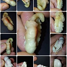 山林癒：沐浴山林擁抱樹木，借助大自然力量自我療癒【城邦讀書花園】 歷史價格詳細信息