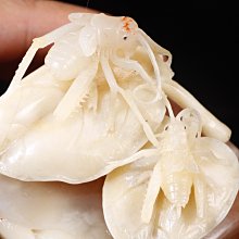 保利老撾黑  純黑古樸，刀感舒服 霸氣！溫潤內斂，色澤黑灰古樸，石質結實光潤，老性凝結，油 壽山石 印章 擺件【國玉之鄉二店】6900 歷史價格詳細信息