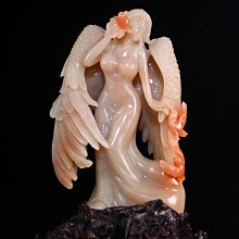 天佑茅港尾[精裝] 五南文化廣場 政府出版品 繪本童書 歷史價格詳細信息