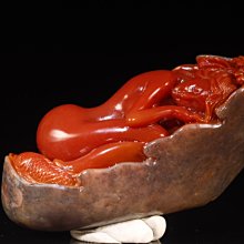 【三顧茅廬 •已結緣】精品嚴選 粉絲獨享福利標  速拍2天 他台同步  文館藏品《真藏 古三刀 玉含蟬（生美）》特惠起標 無底價 恕不議價 歷史價格詳細信息