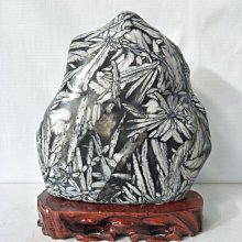 現貨熱銷-竹纖維襪子夏季黑色男士短襪 商務防臭襪男全棉中筒白色男襪 1KFn-hgjn 歷史價格詳細信息