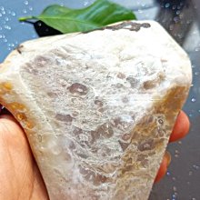 地產古玩大亨大號超級富翁強手棋桌遊卡牌兒童親子益智桌面遊戲 歷史價格詳細信息