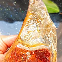 地產古玩大亨大號超級富翁強手棋桌遊卡牌兒童親子益智桌面遊戲 歷史價格詳細信息