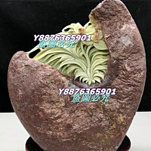 8厘米超厚黑色生化棉過濾棉海棉墊底濾魚缸水族箱水池中粗孔藤棉^特價特賣 歷史價格詳細信息