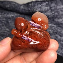 正版 顏如舜華：詩經 植物記 歷史價格詳細信息