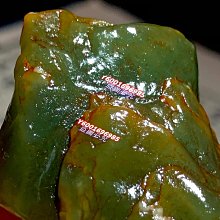 綠田洗車機家用感應清洗機雪豹P4 PRO刷車神器高壓水槍搶水泵工具 歷史價格詳細信息