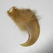 【藏家釋出】北京保利國際拍賣書籍《2014-名貴腕錶與西洋古董座鐘專拍》(((收藏價1000元...只給第一標))) 歷史價格詳細信息