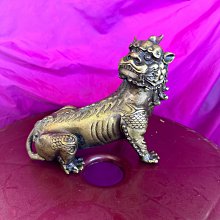 早期貝類，貝殼化石，珠博評級，石燕。品相不錯，特價3889318 歷史價格詳細信息