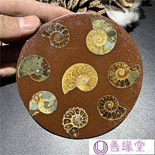 風螺馬達報警器MS-790MS-690 MS-590工業防空雙向馬達電動報警器 歷史價格詳細信息