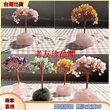 【老友珍品閣】樹王小金剛菩提手串雙龍原籽文玩盤玩手串男佛珠手持女手鍊 歷史價格詳細信息