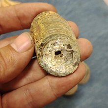 清三代雍正青花靈芝紋盤 明清景德鎮老瓷器陳設收藏真品古玩古董19957 歷史價格詳細信息