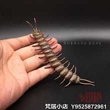 梵居小店 實心銅擺件 貔貅瑞獸手把件銅雕件小銅件銅玩銅器jry 歷史價格詳細信息