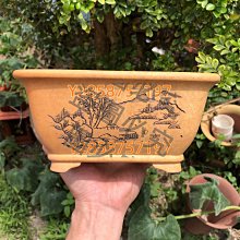 ［洪師父］ - 清燉牛肉麵組合包 (內附冷凍熟麵條) 兩包組 歷史價格詳細信息