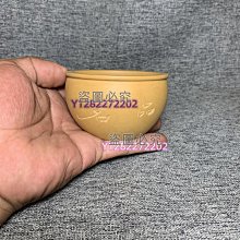 段泥 平蓋蓮子壺 B-201 歷史價格詳細信息