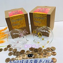 【鶯歌格上】玻璃存錢豬 存錢筒 撲滿 小豬...8.5cm 有金黃和粉色 現貨 歷史價格詳細信息