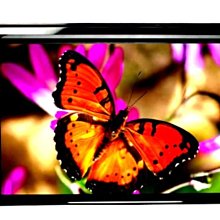 新竹投影機專賣店【名展音響】BENQ MS560節能高亮商用投影機 4000流明 SVGA 歷史價格詳細信息