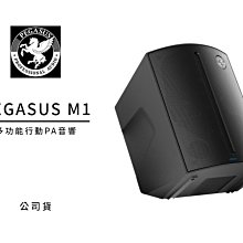 Pegasus M1 多功能便攜式監聽音箱【敦煌樂器】 歷史價格詳細信息