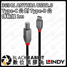 數位黑膠兔【LINDY 林帝 43227 USB3.0 主動式 Type-A 公 對 Type-B 公 延長線10m】 歷史價格詳細信息