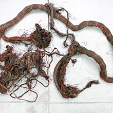 WhiteNoise愛樂人]美國製 Leviton 電源 插座 一個 （聲音比Hubbell好很多) 歷史價格詳細信息