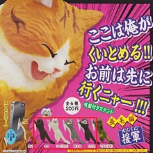 貓這裡。現貨 日本STB360度超柔軟寵物牙刷 寵物潔牙 貓咪刷牙 歷史價格詳細信息