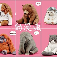 【動漫瘋】 轉蛋 扭蛋 東京復仇者角色公仔 東京卍復仇者 睡眠公仔 全5款 佐野萬次郎 龍宮寺堅  三谷隆 松野千冬 歷史價格詳細信息