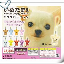 BANDAI 可愛怪獸巧克力風味餅[附貼紙] 口感甜而不膩  現貨 蝦皮直送 歷史價格詳細信息