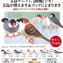 整套9個裝 加重棒球 二榔皮仿牛皮 9英寸3-12 oz 二層皮 歷史價格詳細信息