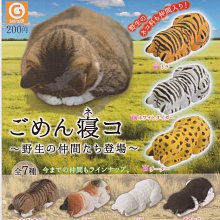 【奇蹟@蛋】 夥伴玩具 (轉蛋)水果刺蝟 全6種 整套販售 NO:6440 歷史價格詳細信息