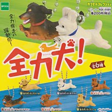 全力衝廁 新版 Moreru 繁體中文版 桌遊 桌上遊戲【卡牌屋】 歷史價格詳細信息