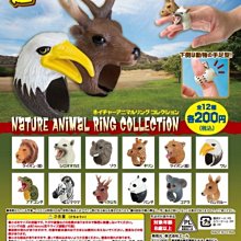 大頭，環彩老包漿，味道好64339 歷史價格詳細信息