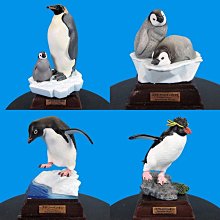 現貨正品南極人剃須刀刮鬍刀電動刮胡刀充電式男士便攜三刀頭全身水洗胡子刀 歷史價格詳細信息