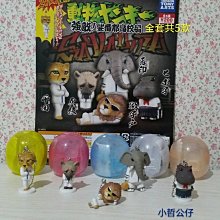 【小哲公仔】新品 EPOCH (扭蛋) 懶洋洋柴犬造型公仔 全套共6款299元＜現貨＞ 歷史價格詳細信息