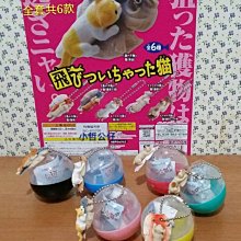 【小哲公仔】7-11 Hello Kitty 三美聯名集點《電熱美髮梳》每個 399元＜現貨＞ 歷史價格詳細信息