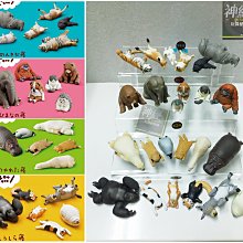 【神經玩具】全新現貨 8G 變形金剛4 絕跡重生 科博文頭 3D隨身碟 可動式關節 博派柯博文 USB 8GB 訊想科技 歷史價格詳細信息