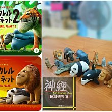 ????熊熊????缺貨????魔方阿爾西G系列Q版MS-G01 桃桃醬Peach Girl 阿爾茜小比例 歷史價格詳細信息