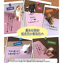 【一手動漫】日本 正版   轉蛋  扭蛋  寫實動物大頭指環 戒指 全12種 老虎 熊貓 獅子 袋鼠 [檢索休眠動物園} 歷史價格詳細信息