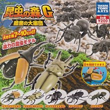 昆蟲森林 1相撲大賽 + 2游泳比賽 多田智 親子天下 歷史價格詳細信息