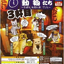 全新現貨 扭蛋 T-ARTS 休眠動物園 P5 全6種 轉蛋 公仔 睡覺 熊貓 貓熊 樹懶 無尾熊 猴子 貓 狗 歷史價格詳細信息