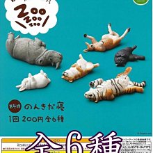 T.ARTS 貓咪老師摺紙吊飾 一套5款 不拆售 扭蛋 轉蛋 豬帽子模型玩具 歷史價格詳細信息